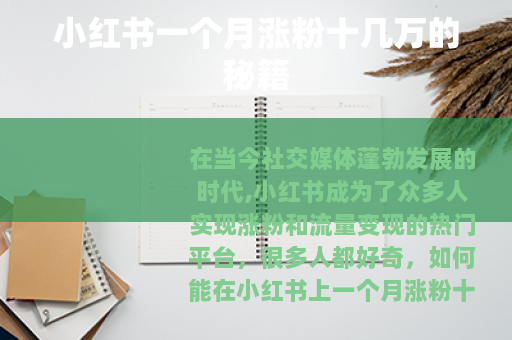 小红书一个月涨粉十几万的秘籍