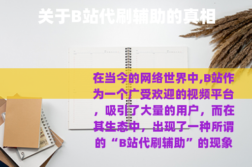 关于B站代刷辅助的真相