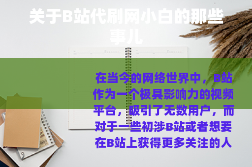 关于B站代刷网小白的那些事儿