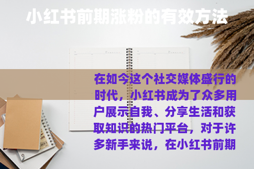 小红书前期涨粉的有效方法