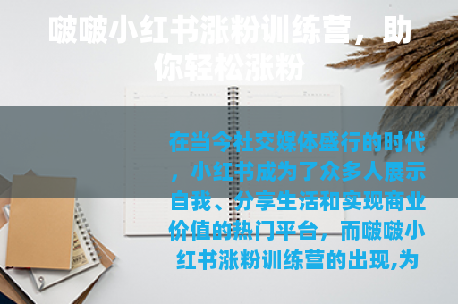 啵啵小红书涨粉训练营,助你轻松涨粉 啵啵小红书涨粉训练营,助你轻松涨粉