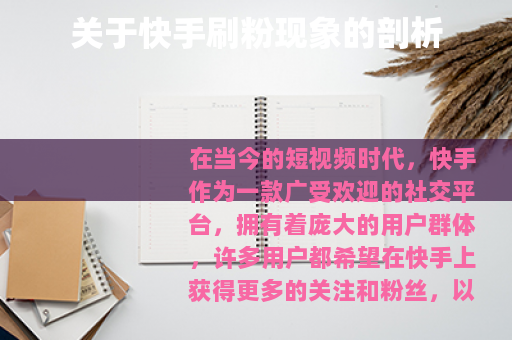 关于快手刷粉现象的剖析