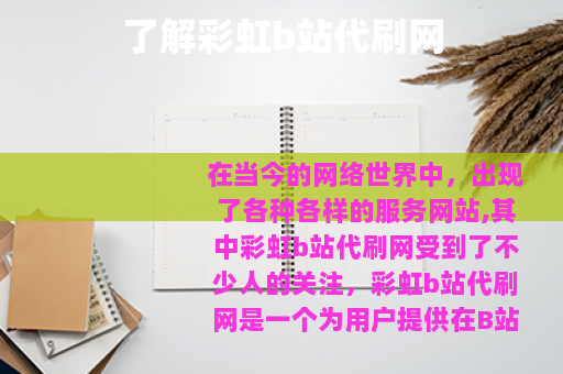 了解彩虹b站代刷网
