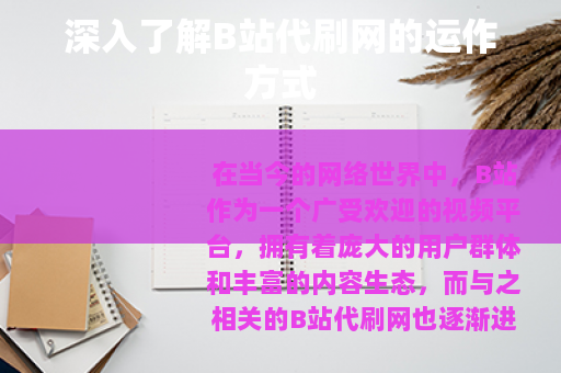深入了解B站代刷网的运作方式