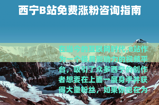 西宁B站免费涨粉咨询指南