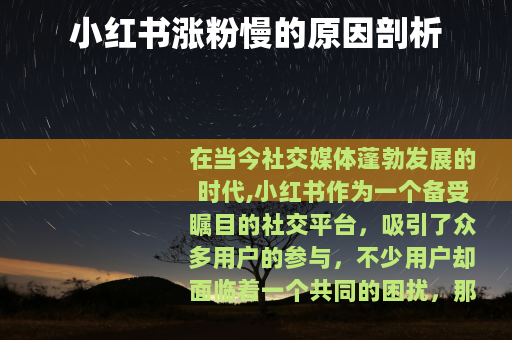 小红书涨粉慢的原因剖析 小红书涨粉慢的原因剖析