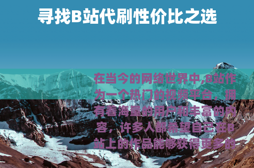 寻找B站代刷性价比之选