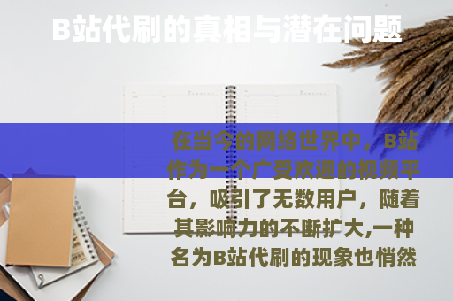 B站代刷的真相与潜在问题