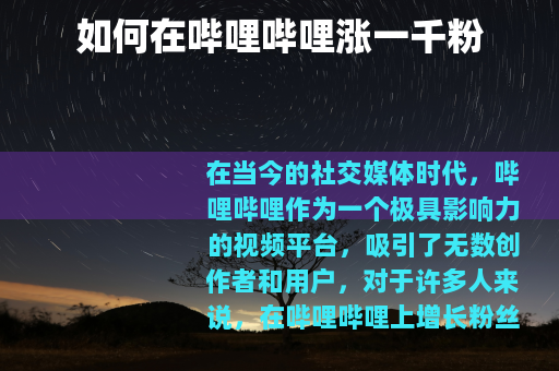 如何在哔哩哔哩涨一千粉