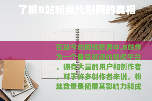 了解B站粉丝代刷网的真相