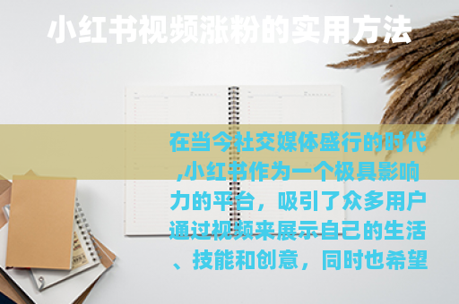 小红书视频涨粉的实用方法 小红书视频涨粉的实用方法