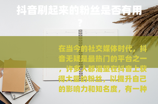 抖音刷起来的粉丝是否有用？