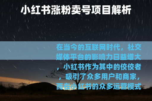 小红书涨粉卖号项目解析
