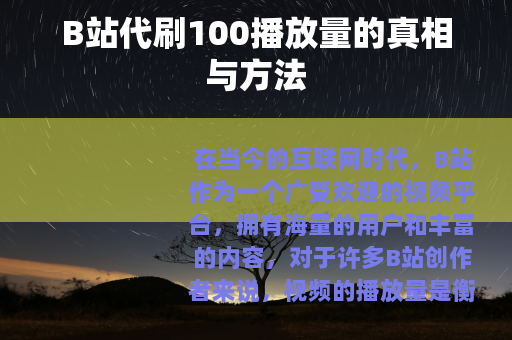 B站代刷100播放量的真相与方法