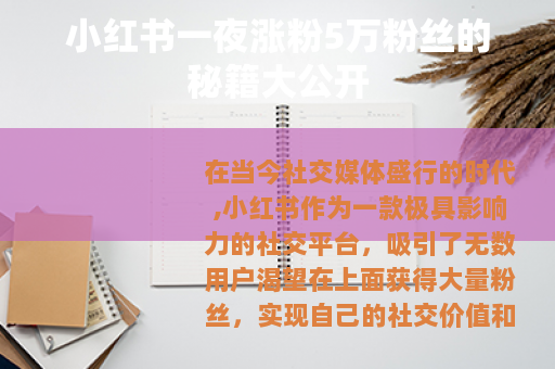 小红书一夜涨粉5万粉丝的秘籍大公开