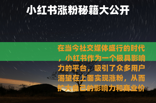 小红书涨粉秘籍大公开