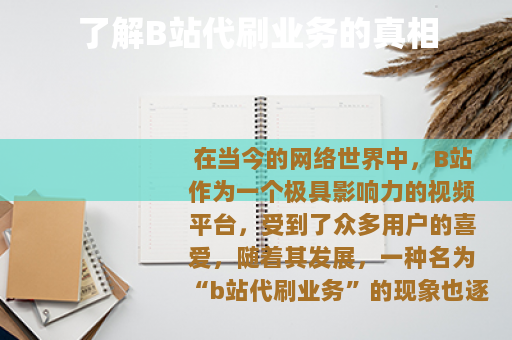 了解B站代刷业务的真相