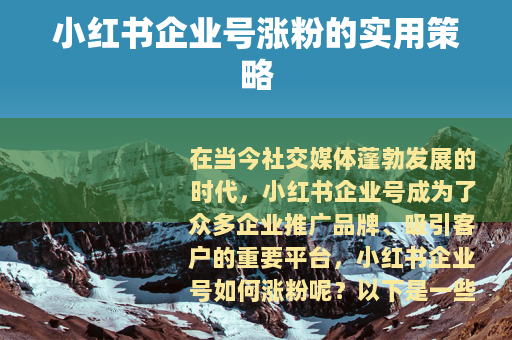 小红书企业号涨粉的实用策略