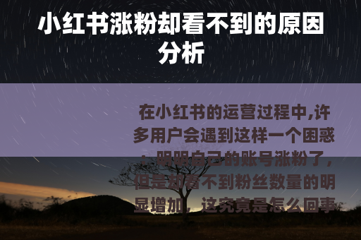小红书涨粉却看不到的原因分析