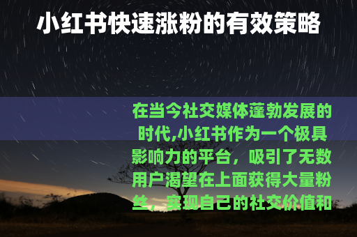 小红书快速涨粉的有效策略