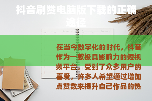 抖音刷赞电脑版下载的正确途径