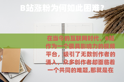 B站涨粉为何如此困难? B站涨粉为何如此困难?