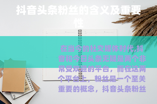 抖音头条粉丝的含义及重要性