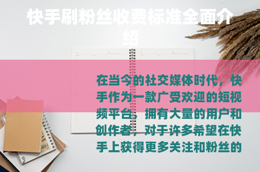 快手刷粉丝收费标准全面介绍