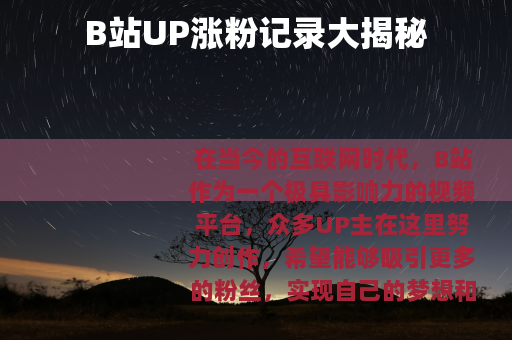 B站UP涨粉记录大揭秘