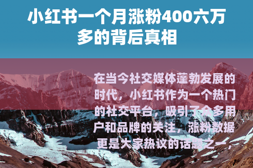 小红书一个月涨粉400六万多的背后真相 小红书一个月涨粉400六万多的背后真相