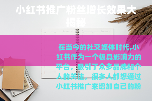 小红书推广粉丝增长效果大揭秘
