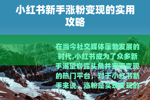 小红书新手涨粉变现的实用攻略