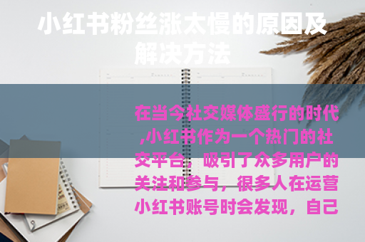 小红书粉丝涨太慢的原因及解决方法 小红书粉丝涨太慢的原因及解决方法